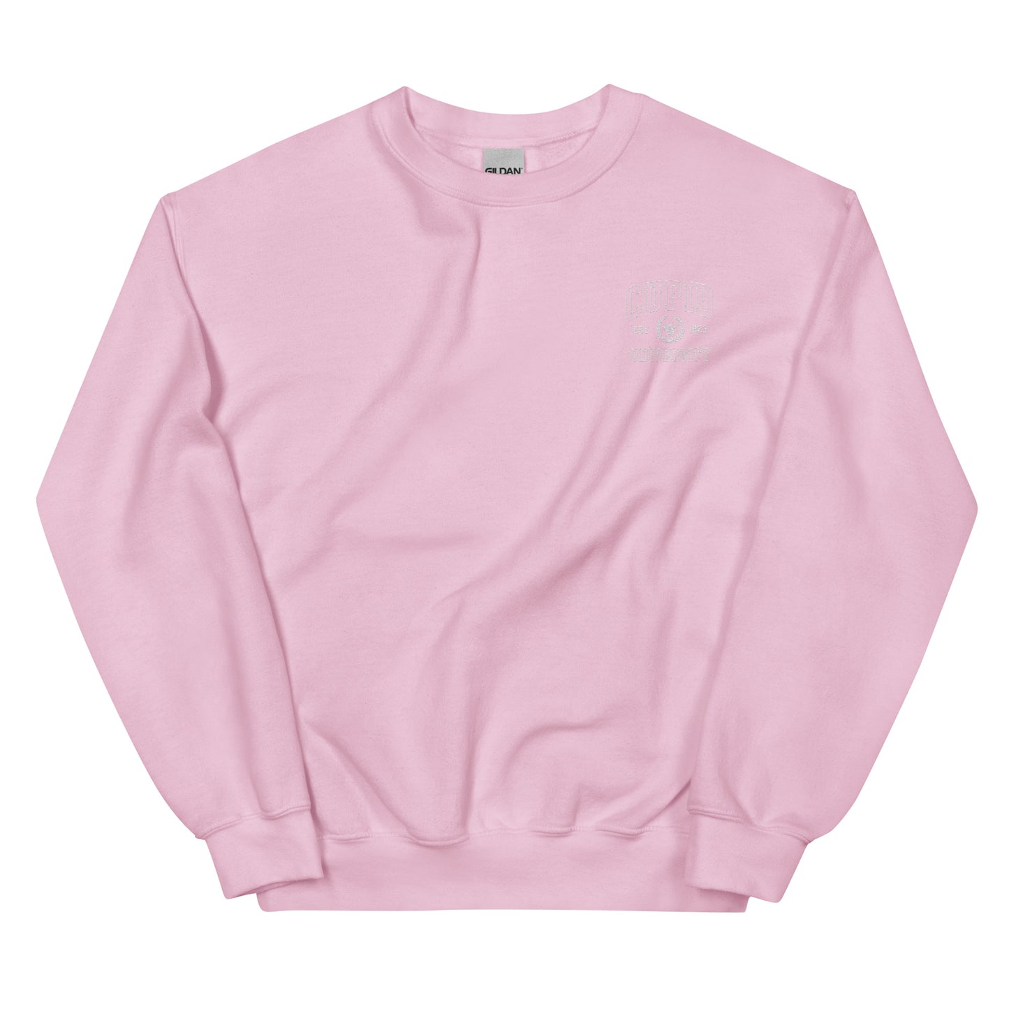 Cupid University Valentine's Embroidered Sweatshirt