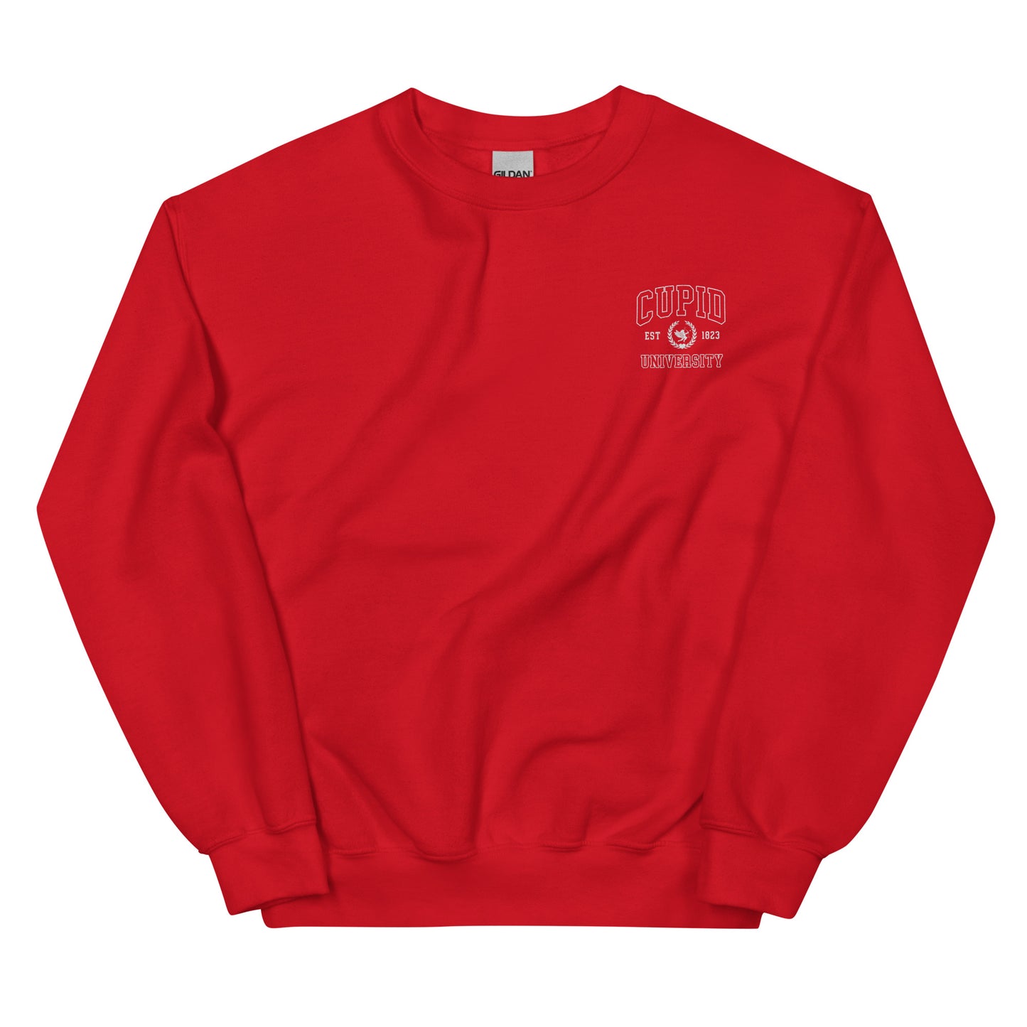 Cupid University Valentine's Embroidered Sweatshirt