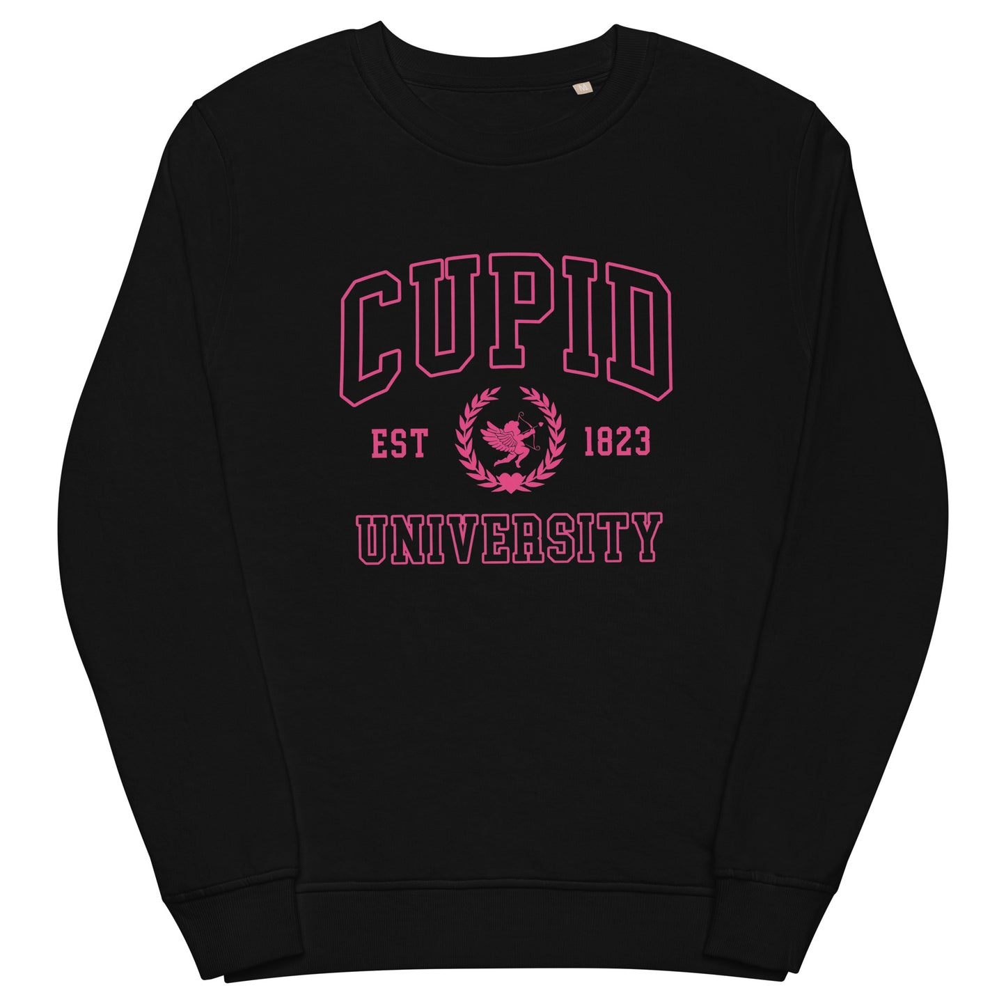 Cupid University Valentine's Sweatshirt (Pink)