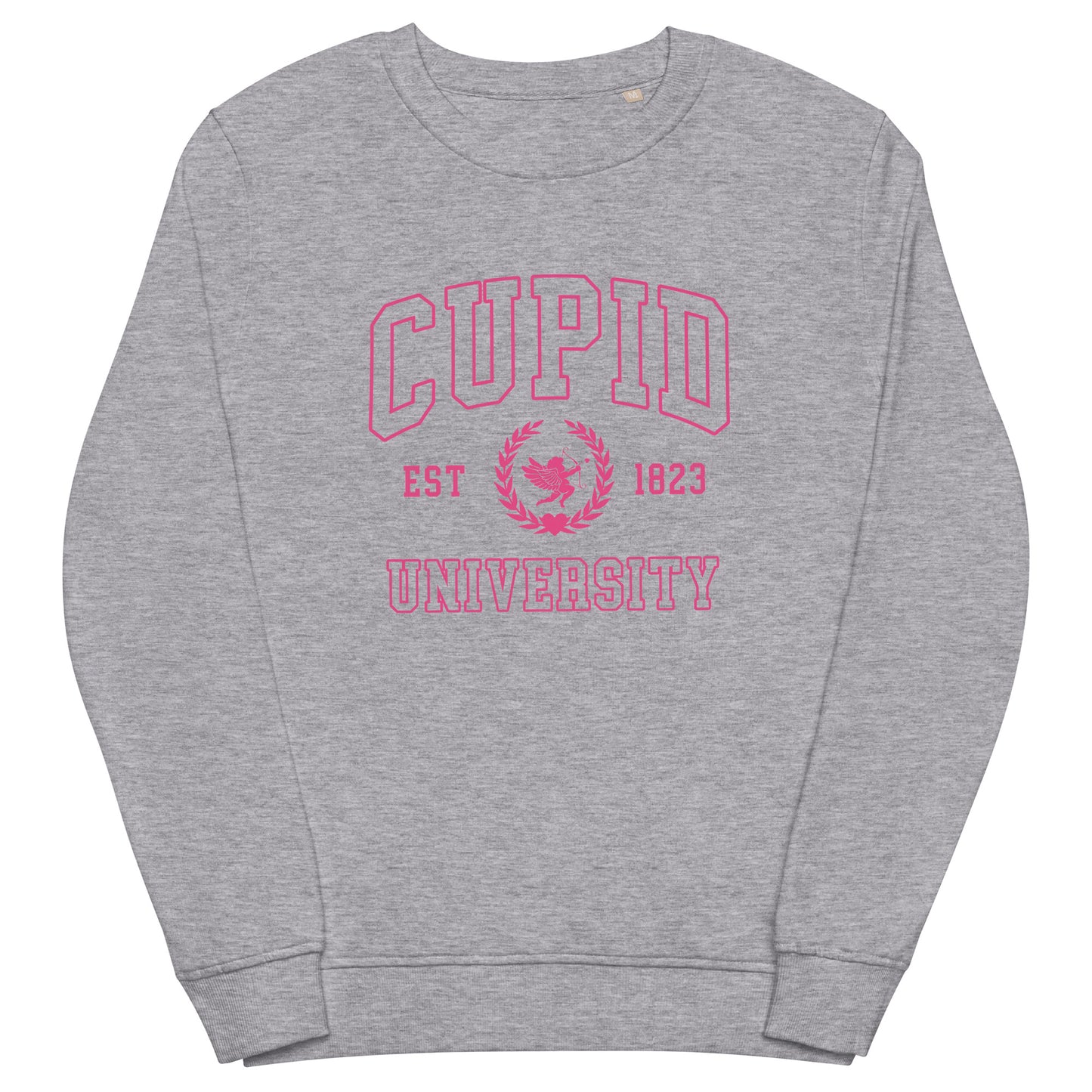 Cupid University Valentine's Sweatshirt (Pink)