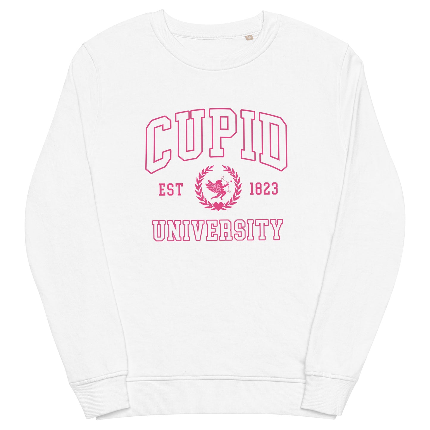 Cupid University Valentine's Sweatshirt (Pink)