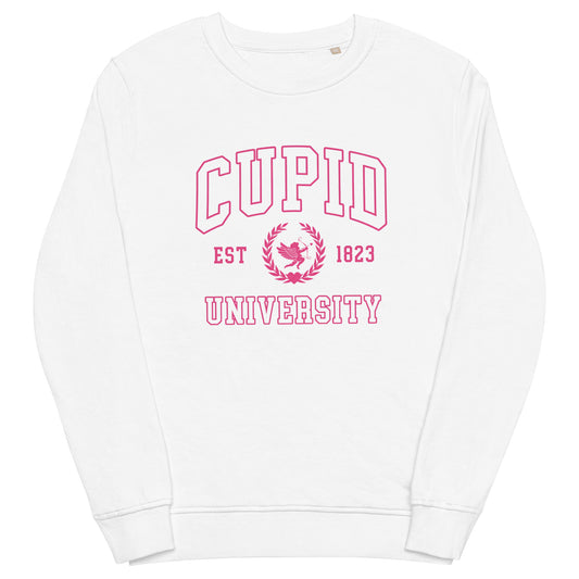 Cupid University Valentine's Sweatshirt (Pink)